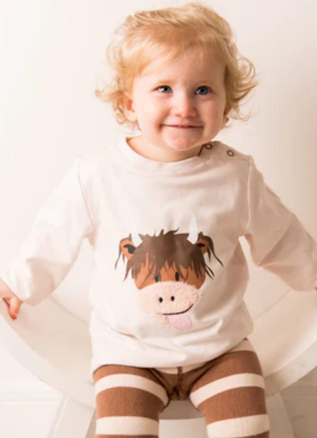 NEUTRAL HAMISH COW SET