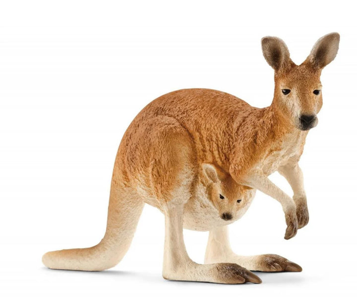 KANGAROO