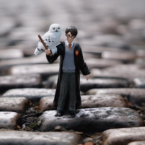 HARRY POTTER & HEDWIG