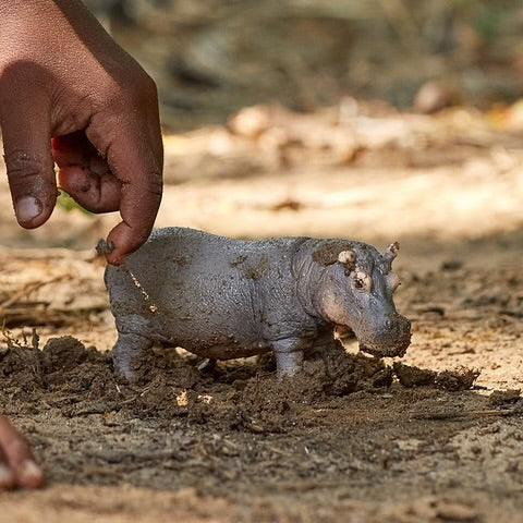 HIPPOPOTAMUS