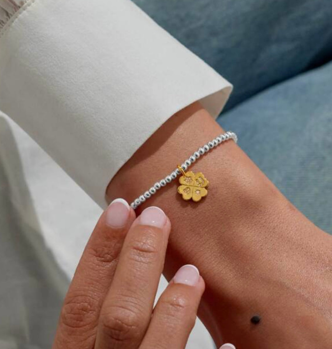 A LITTLE LUCKY CHARM BRACELET