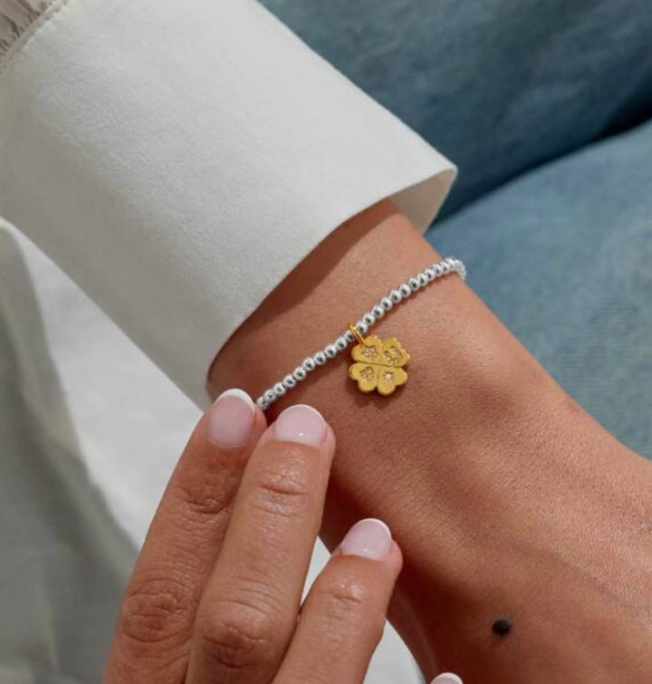 A LITTLE LUCKY CHARM BRACELET
