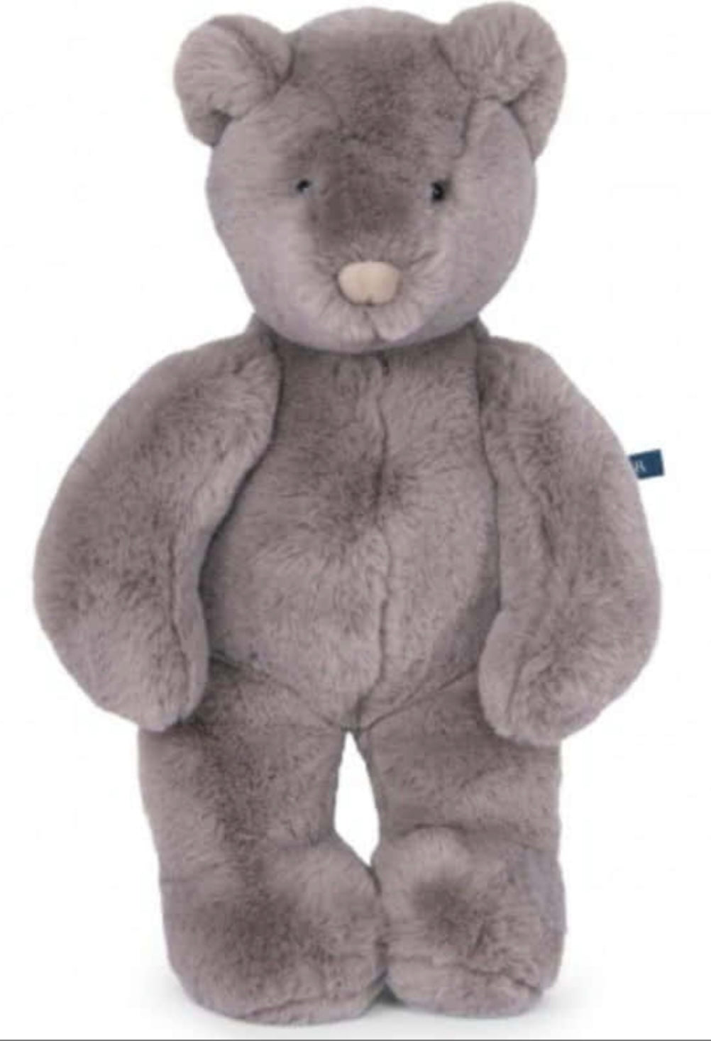 OURS GRIS ARTHUR ET LOUISON