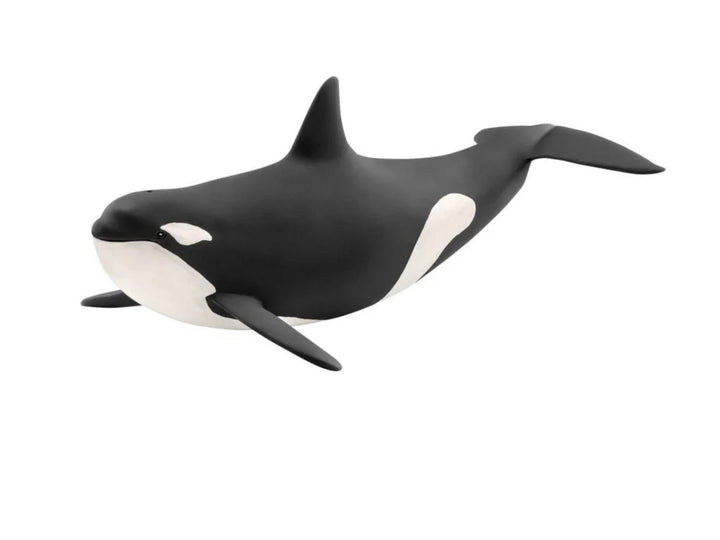 KILLER WHALE
