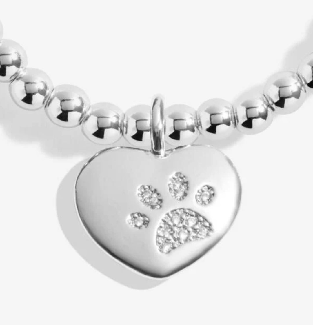 A LITTLE PETS LEAVE PAW PRINTS ON OUR HEARTS BRACELET