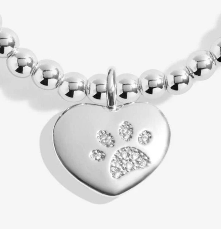 A LITTLE PETS LEAVE PAW PRINTS ON OUR HEARTS BRACELET
