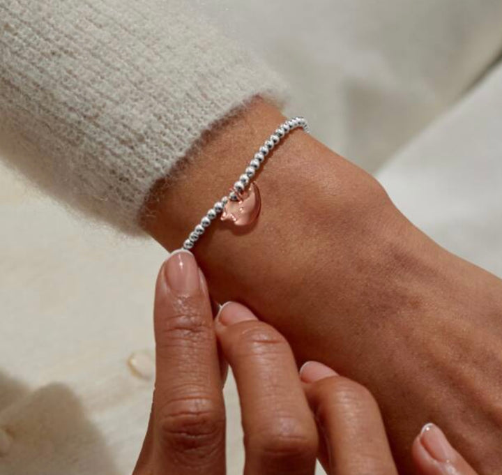 CHRISTMAS CRACKER ROBIN SILVER & ROSE GOLD BRACELET