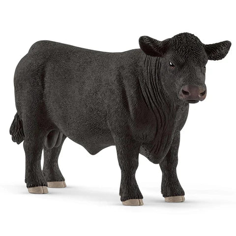 BLACK ANGUS BULL