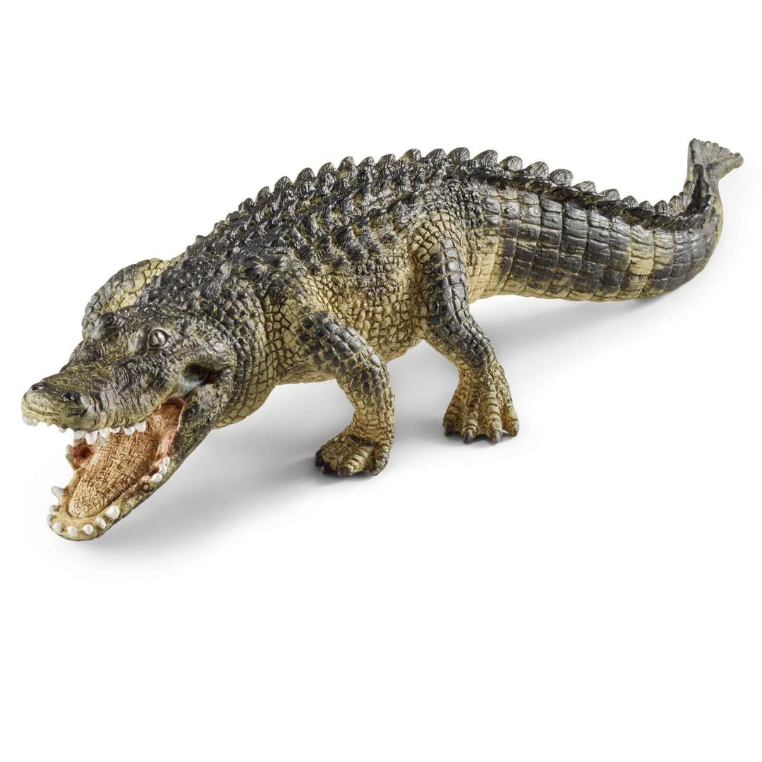 ALLIGATOR