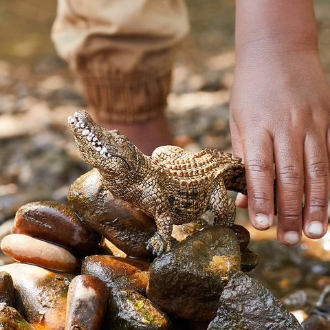 Crocodile