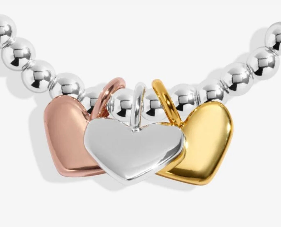 A LITTLE CHARMED MOMENTS AMAZING AUNTIE BRACELET