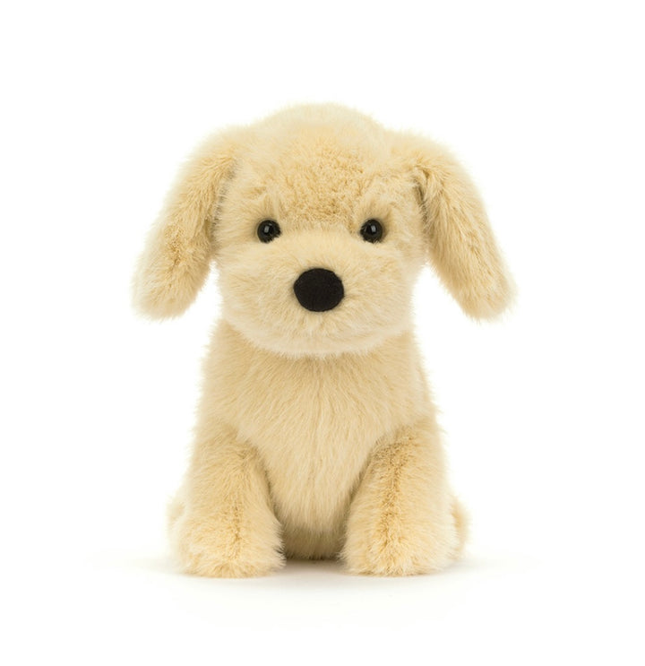 GOLDEN PUPPY