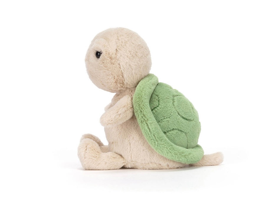 THIMBLE TURTLE