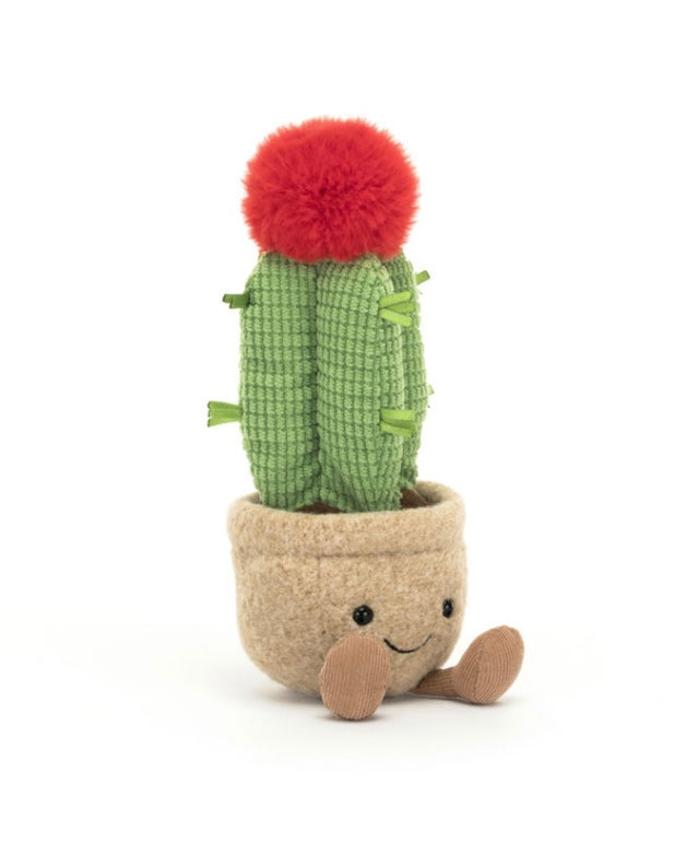 AMUSEABLE MOON CACTUS