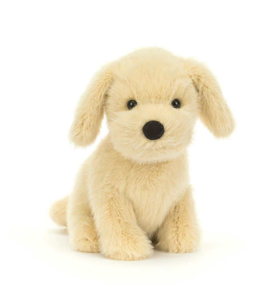 GOLDEN PUPPY