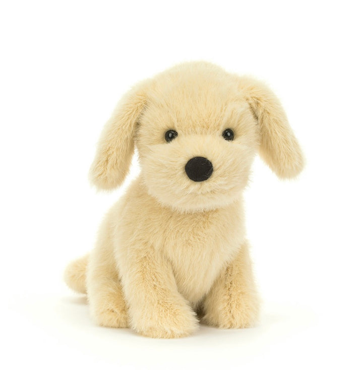 GOLDEN PUPPY