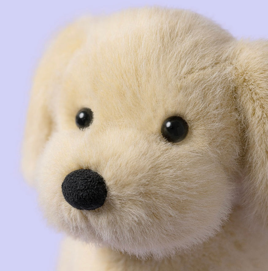 GOLDEN PUPPY