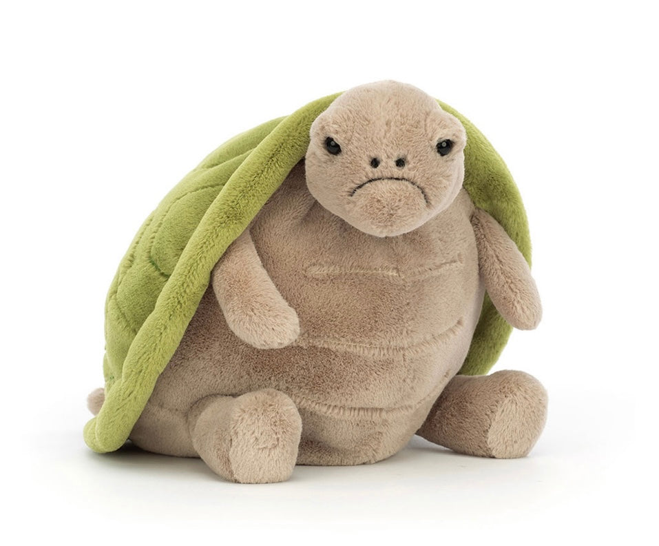TIMMY TURTLE