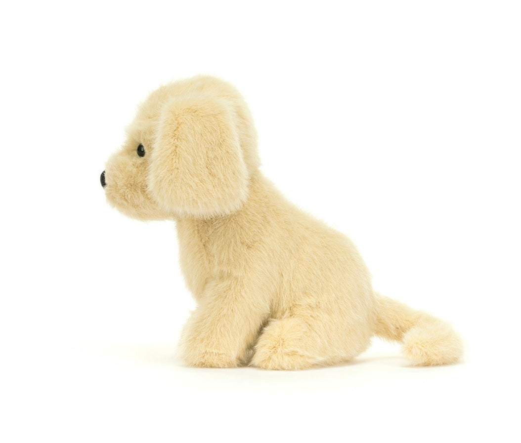 GOLDEN PUPPY