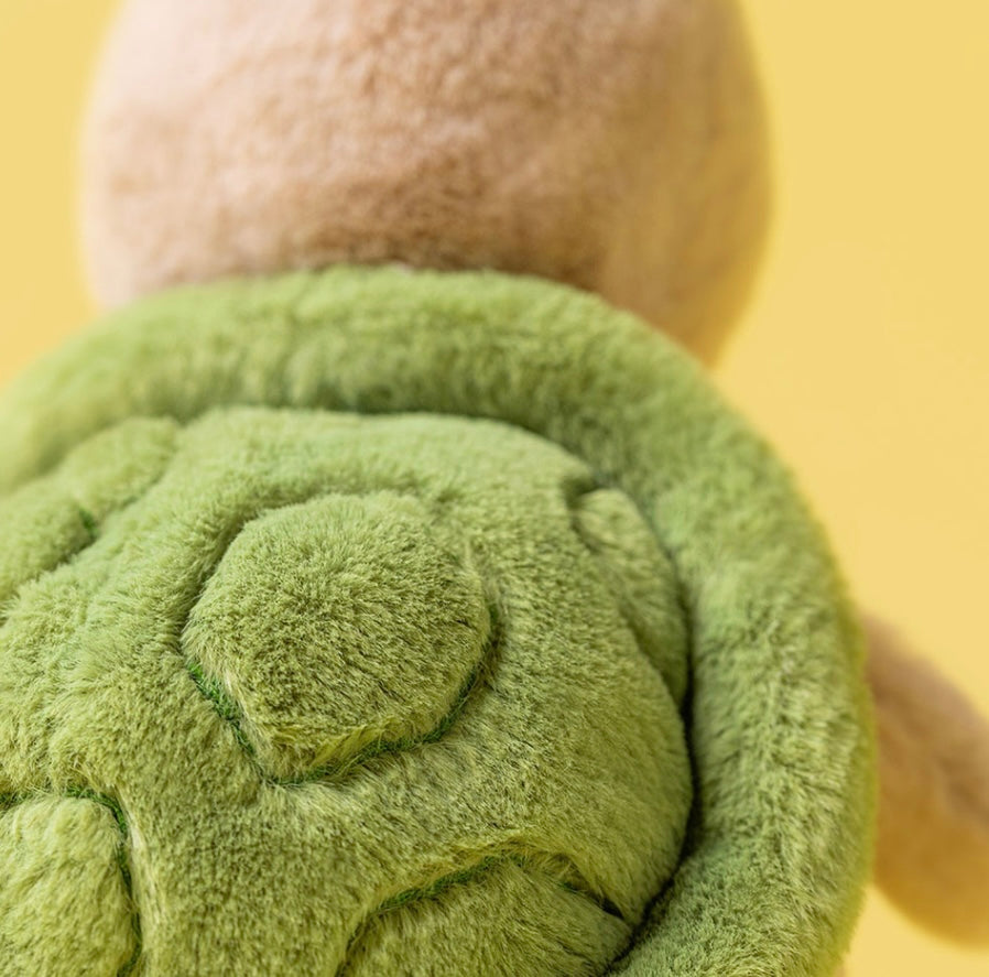 THIMBLE TURTLE