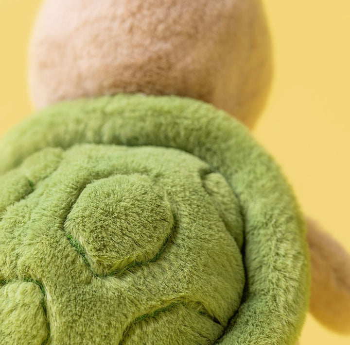 THIMBLE TURTLE
