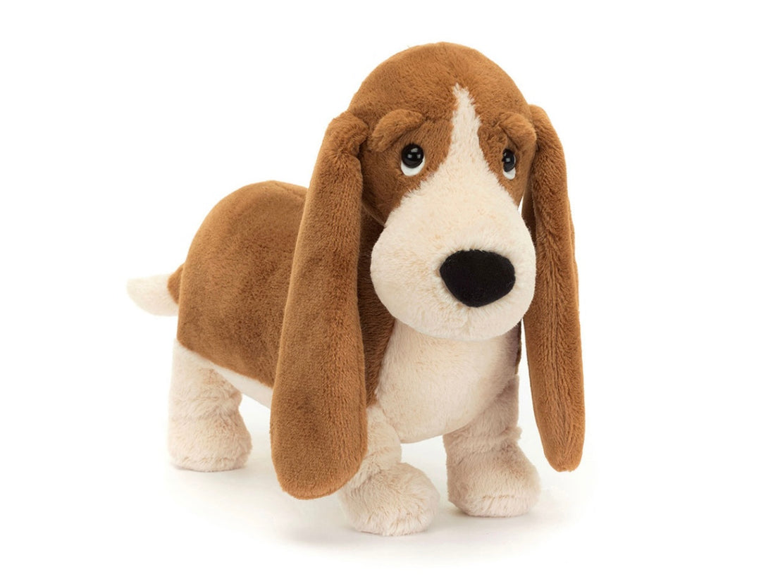 RANDALL BASSET HOUND