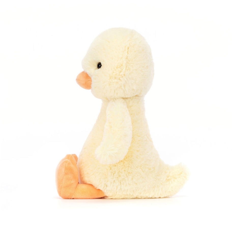 BASHFUL DUCK