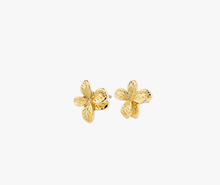 CHARMAINE GOLD PLATED EARRINGS