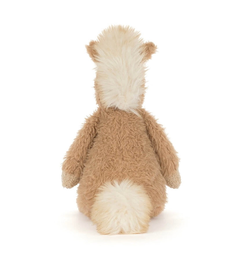 CANTERNEIGH PONY