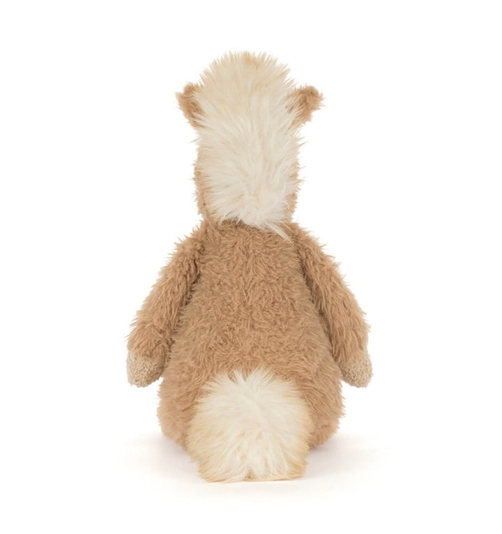 CANTERNEIGH PONY
