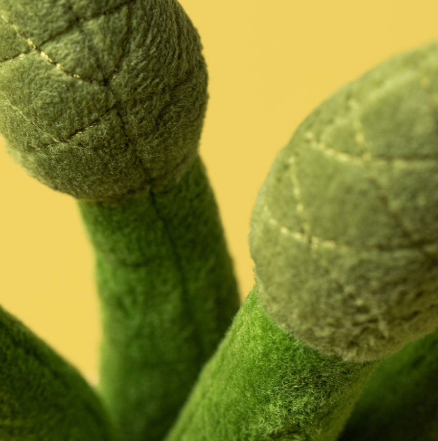 AMUSEABLES ASPARAGUS