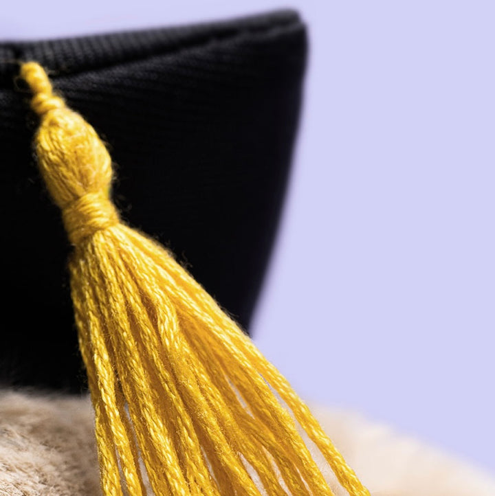 BASHFUL BUNNY GRADUATION OUTFIT