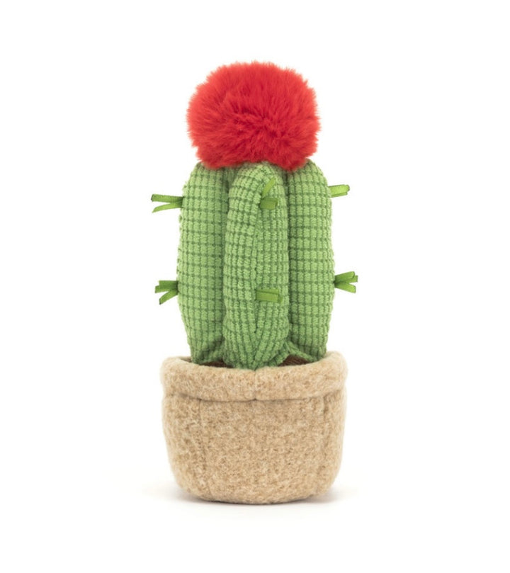 AMUSEABLE MOON CACTUS