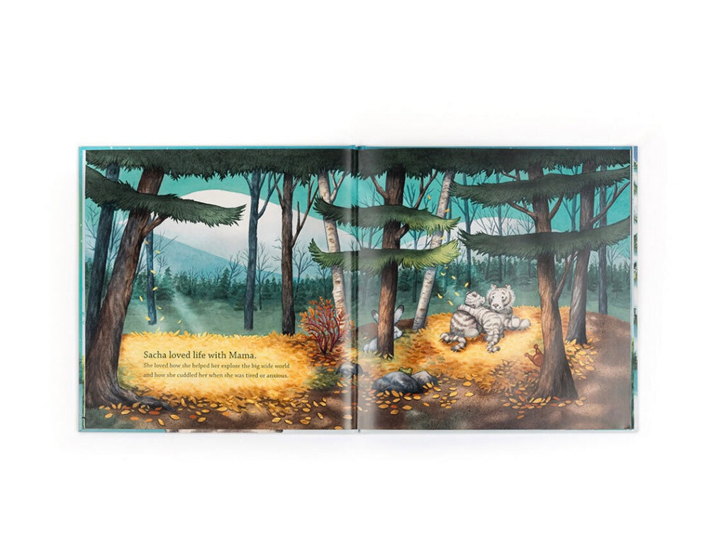 SACHA AND THE MOST WONDERFUL THING BOOK