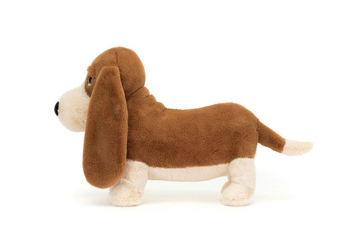 RANDALL BASSET HOUND