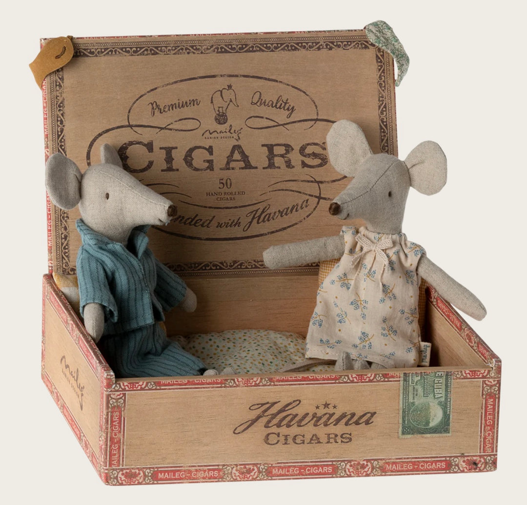 MUM & DAD MICE IN CIGAR BOX