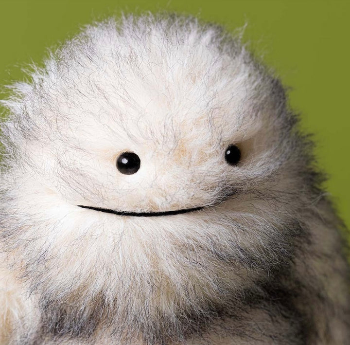 BRETTI YETI