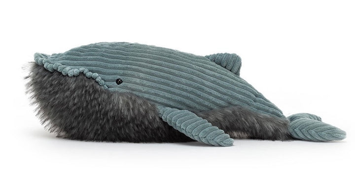 WILEY WHALE