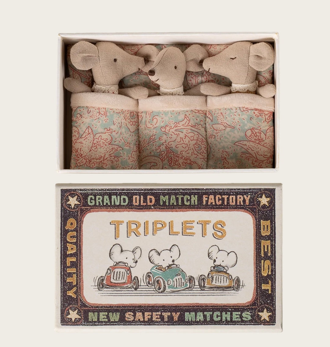 TRIPLETS BABY MICE IN MATCHBOX