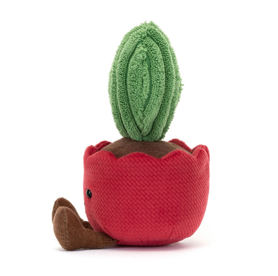 AMUSEABLES KERRII CACTUS