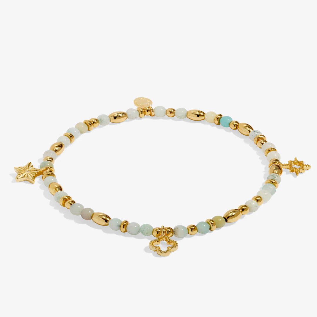 AFFIRMATION CARD LUCK BRACELET