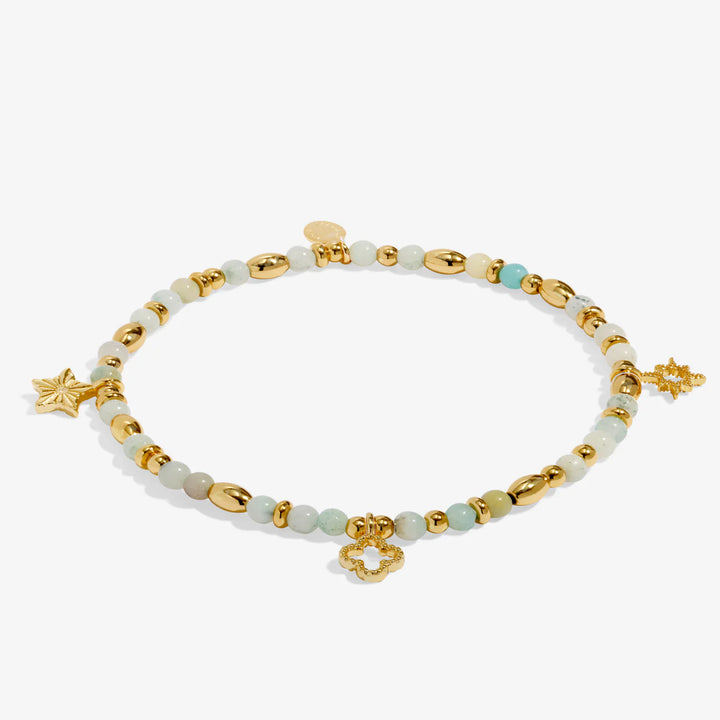 AFFIRMATION CARD LUCK BRACELET