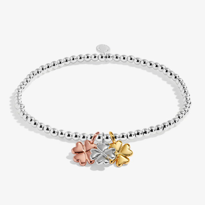 A LITTLE CHARMED MOMENTS LUCK BRACELET