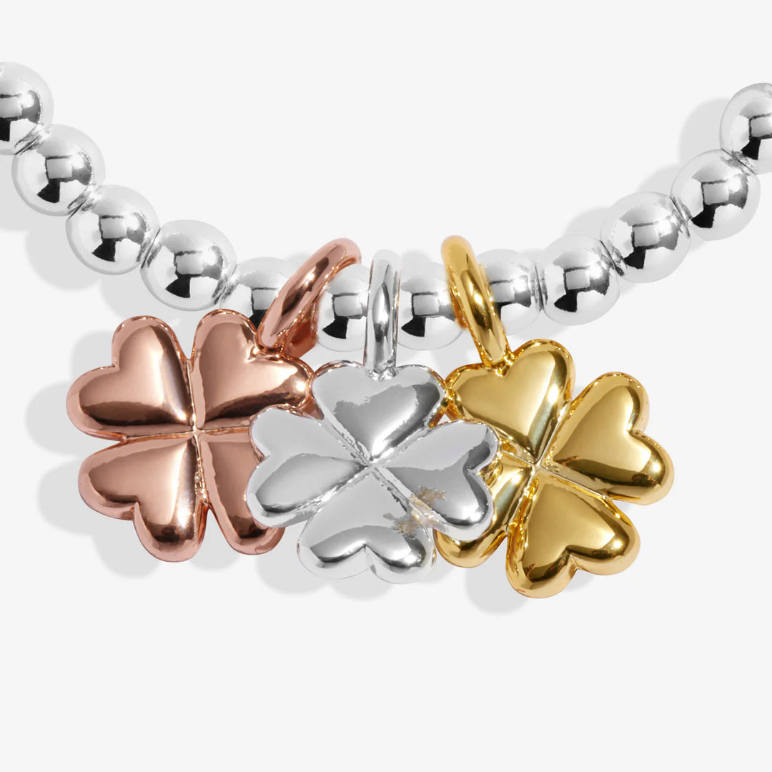 A LITTLE CHARMED MOMENTS LUCK BRACELET