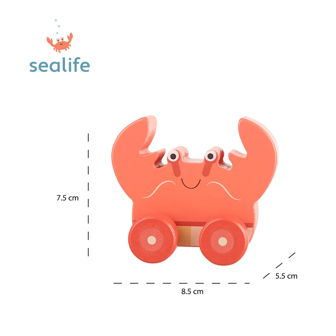 FIRST PUSH TOY - CRAB (FSC)