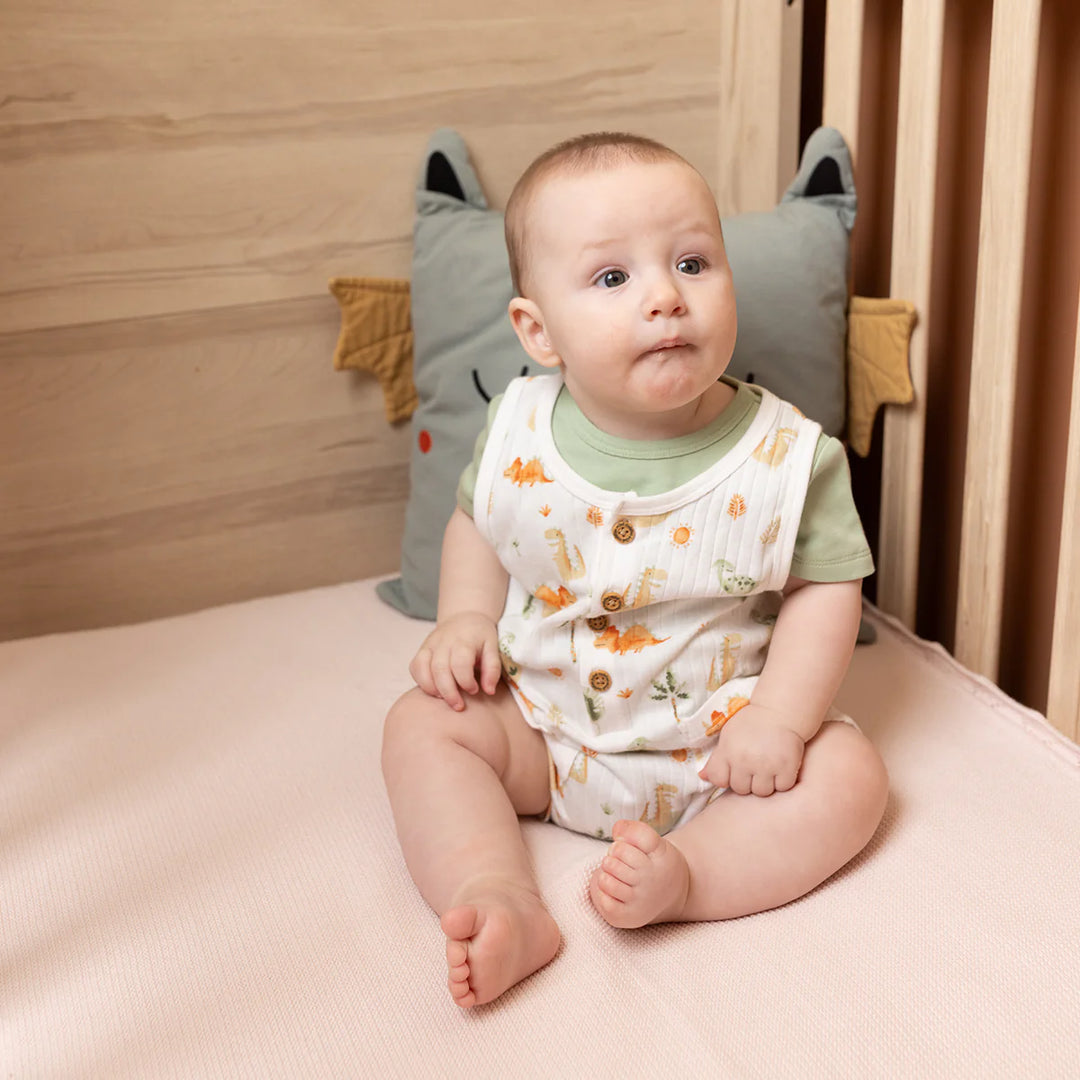 DINOSAUR PRINTED DUNGAREE SET WITH MATCHING HAT