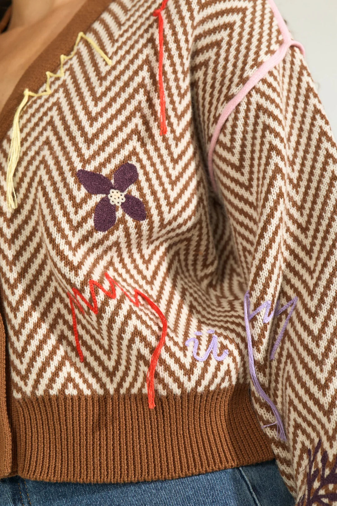 DACHSHUND RAVISSI CARDIGAN
