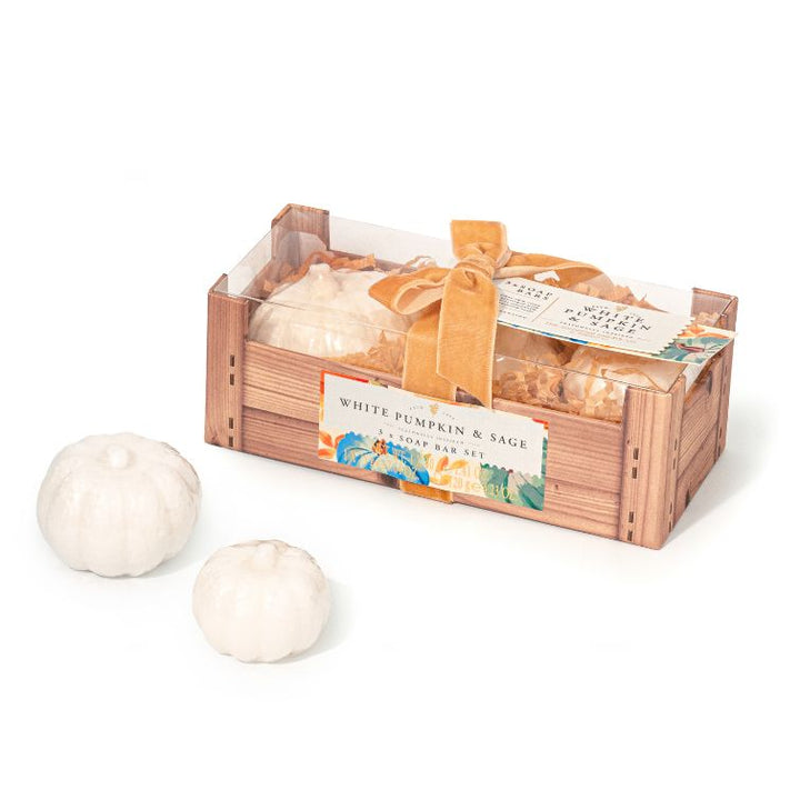 WHITE PUMPKIN & SAGE SOAP BAR GIFT SET