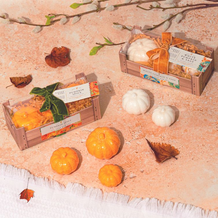 WHITE PUMPKIN & SAGE SOAP BAR GIFT SET