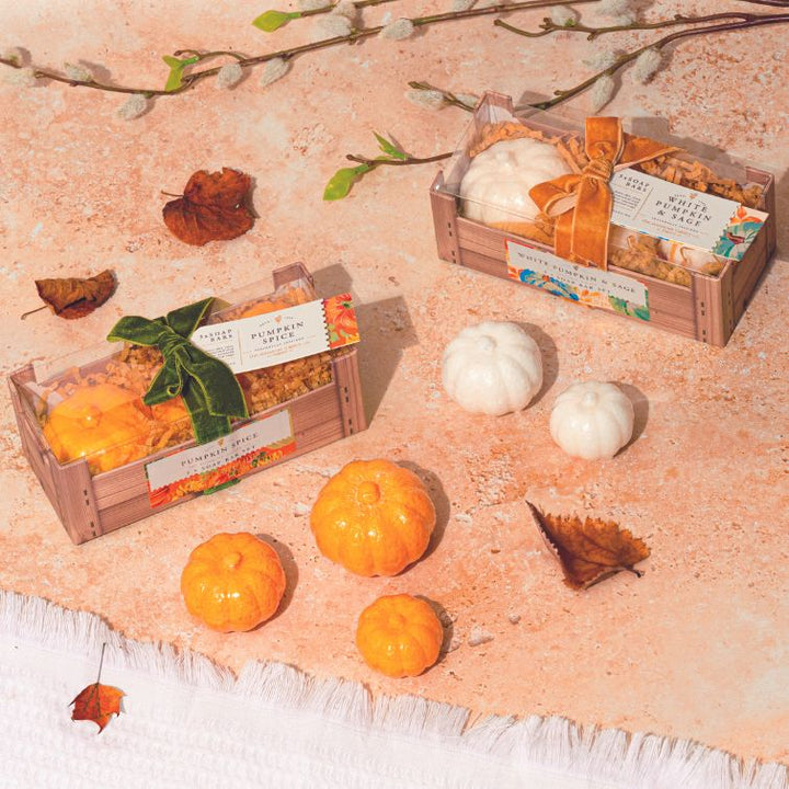 WHITE PUMPKIN & SAGE SOAP BAR GIFT SET